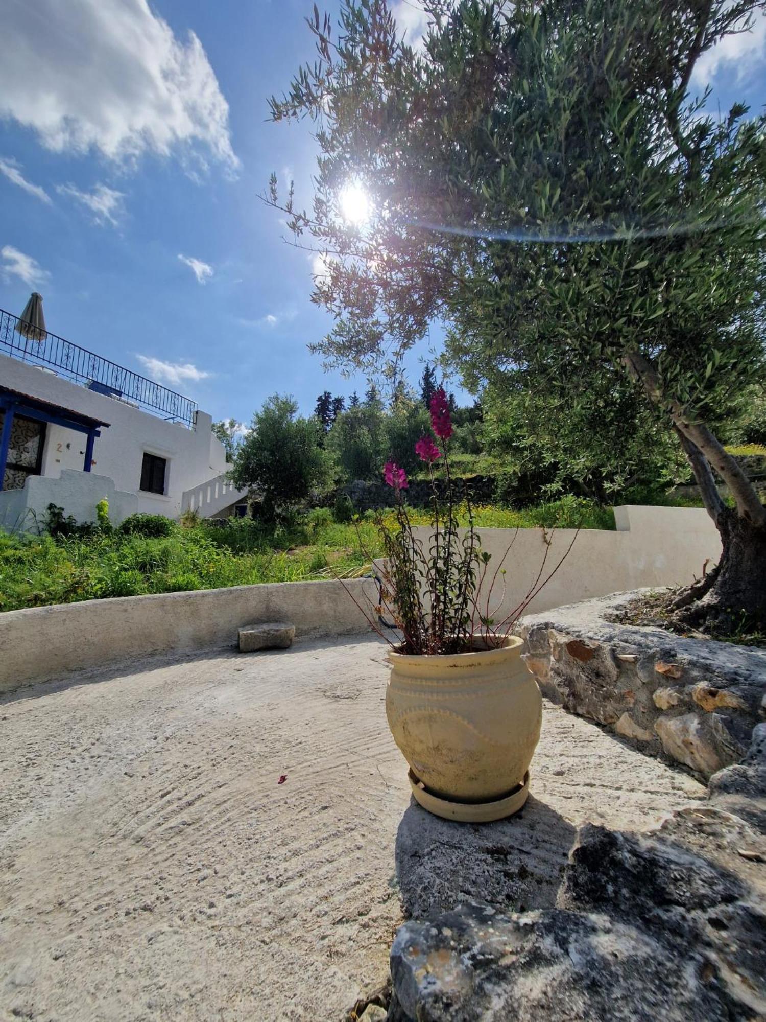 Stefanos Garden Διαμέρισμα Αρμένοι Εξωτερικό φωτογραφία