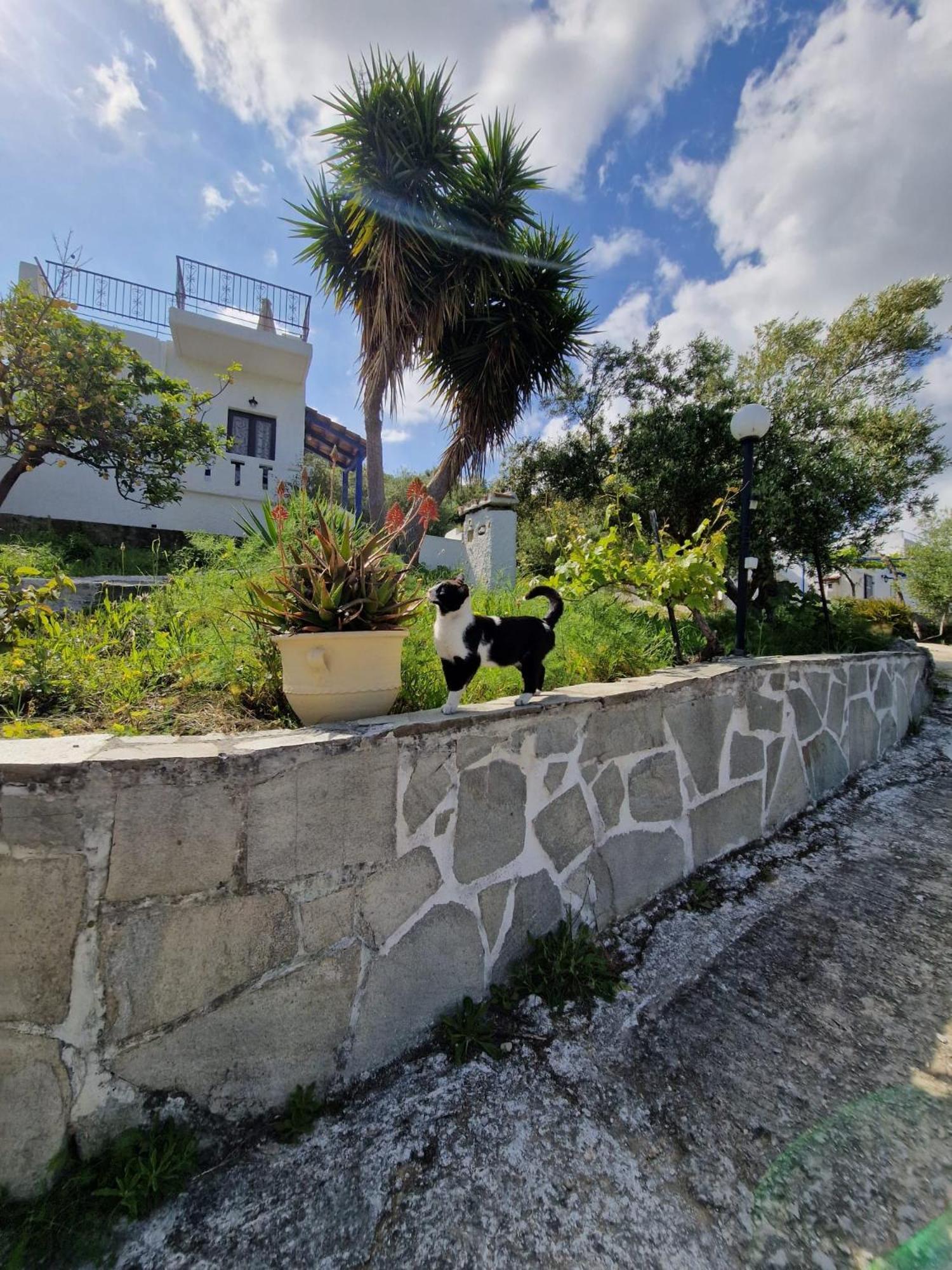 Stefanos Garden Διαμέρισμα Αρμένοι Εξωτερικό φωτογραφία