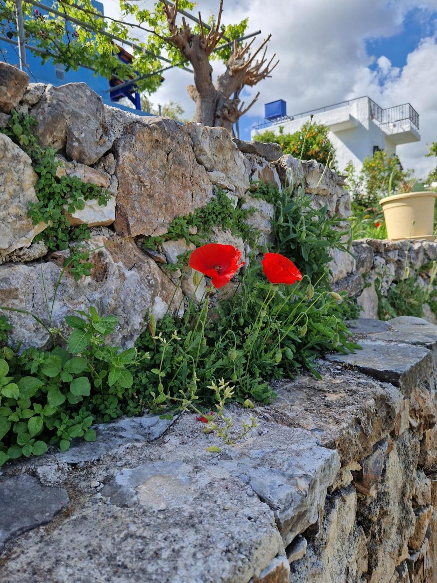 Stefanos Garden Διαμέρισμα Αρμένοι Εξωτερικό φωτογραφία