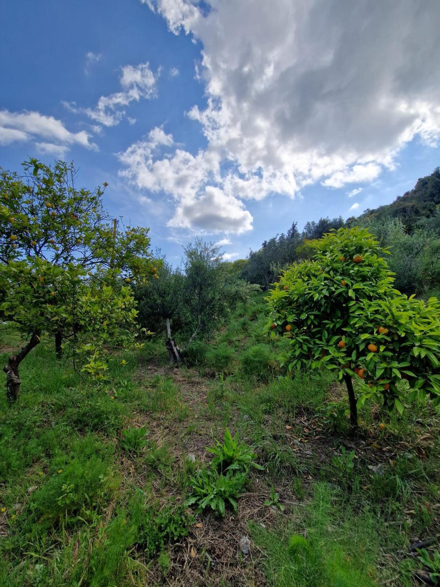 Stefanos Garden Διαμέρισμα Αρμένοι Εξωτερικό φωτογραφία