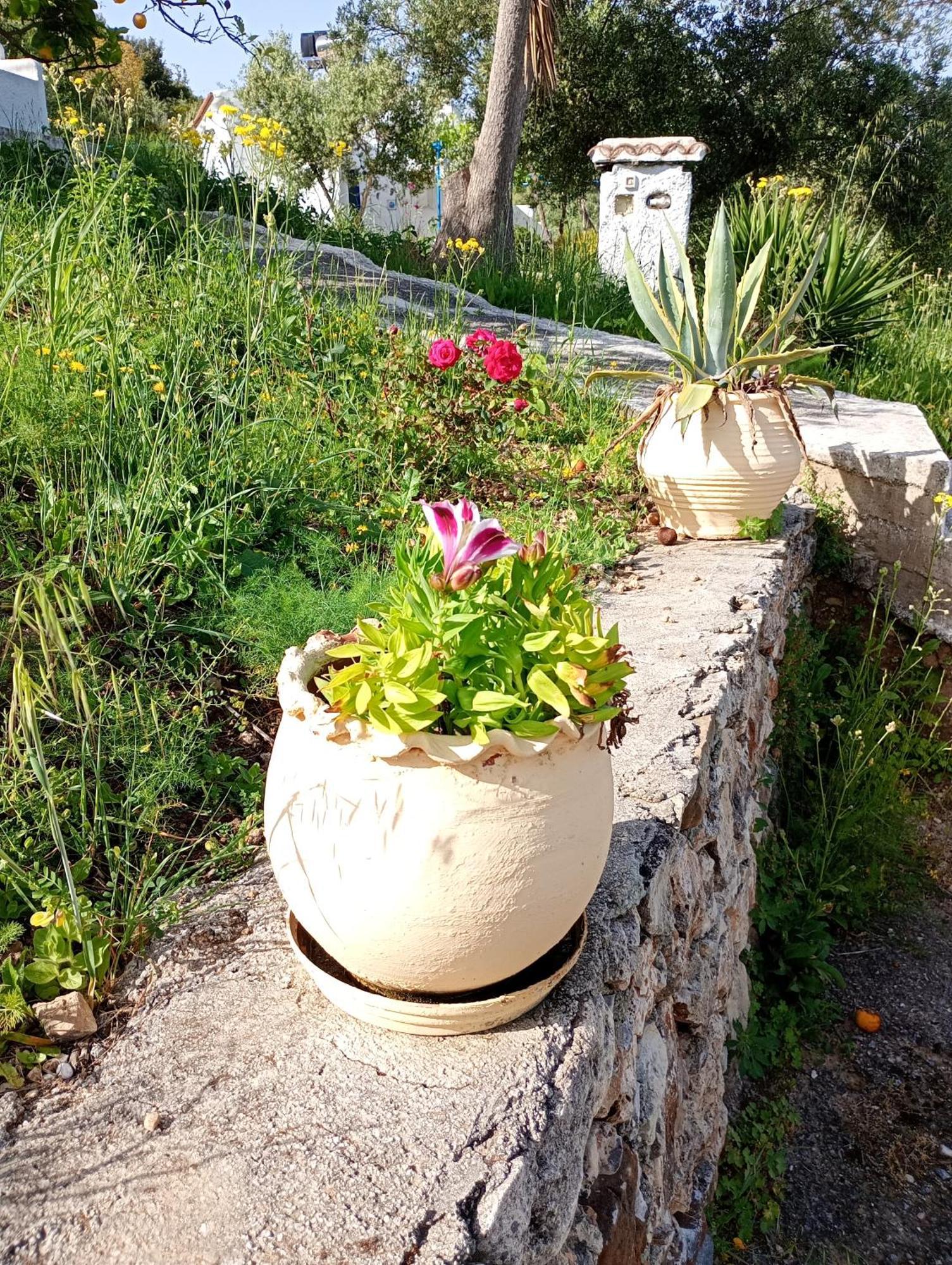 Stefanos Garden Διαμέρισμα Αρμένοι Δωμάτιο φωτογραφία