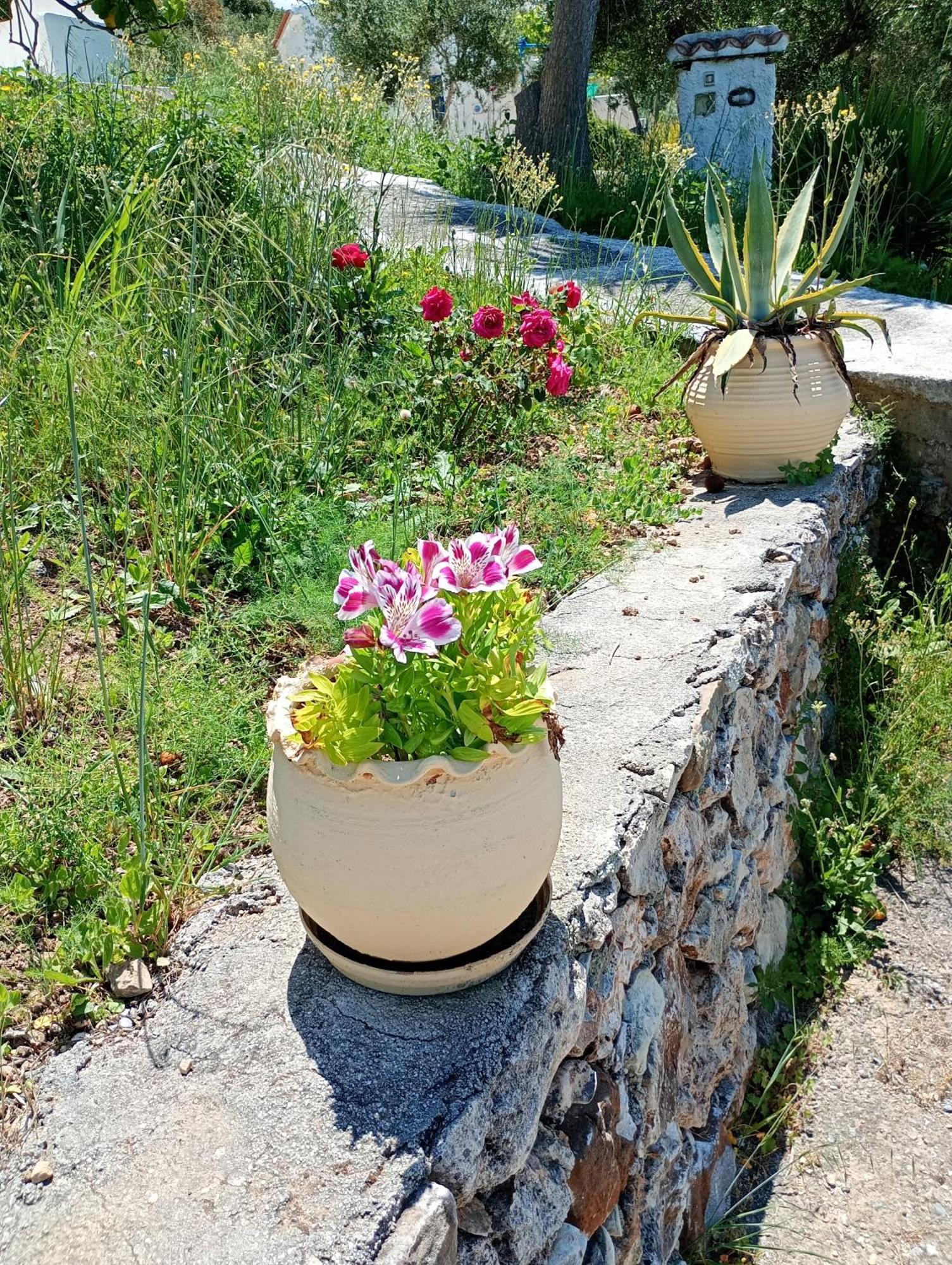 Stefanos Garden Διαμέρισμα Αρμένοι Εξωτερικό φωτογραφία